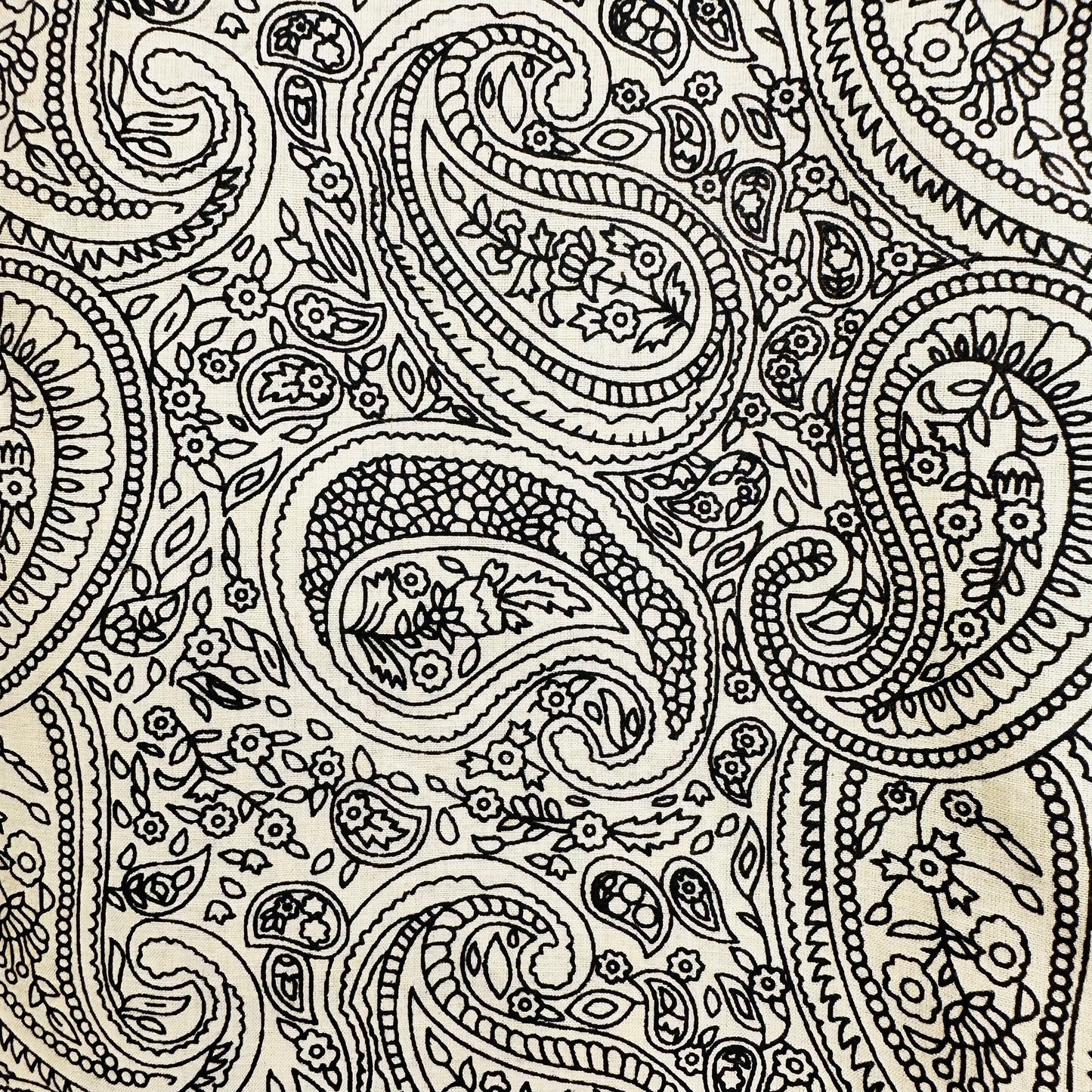 Paisley patterned Cotton scarf with tassels