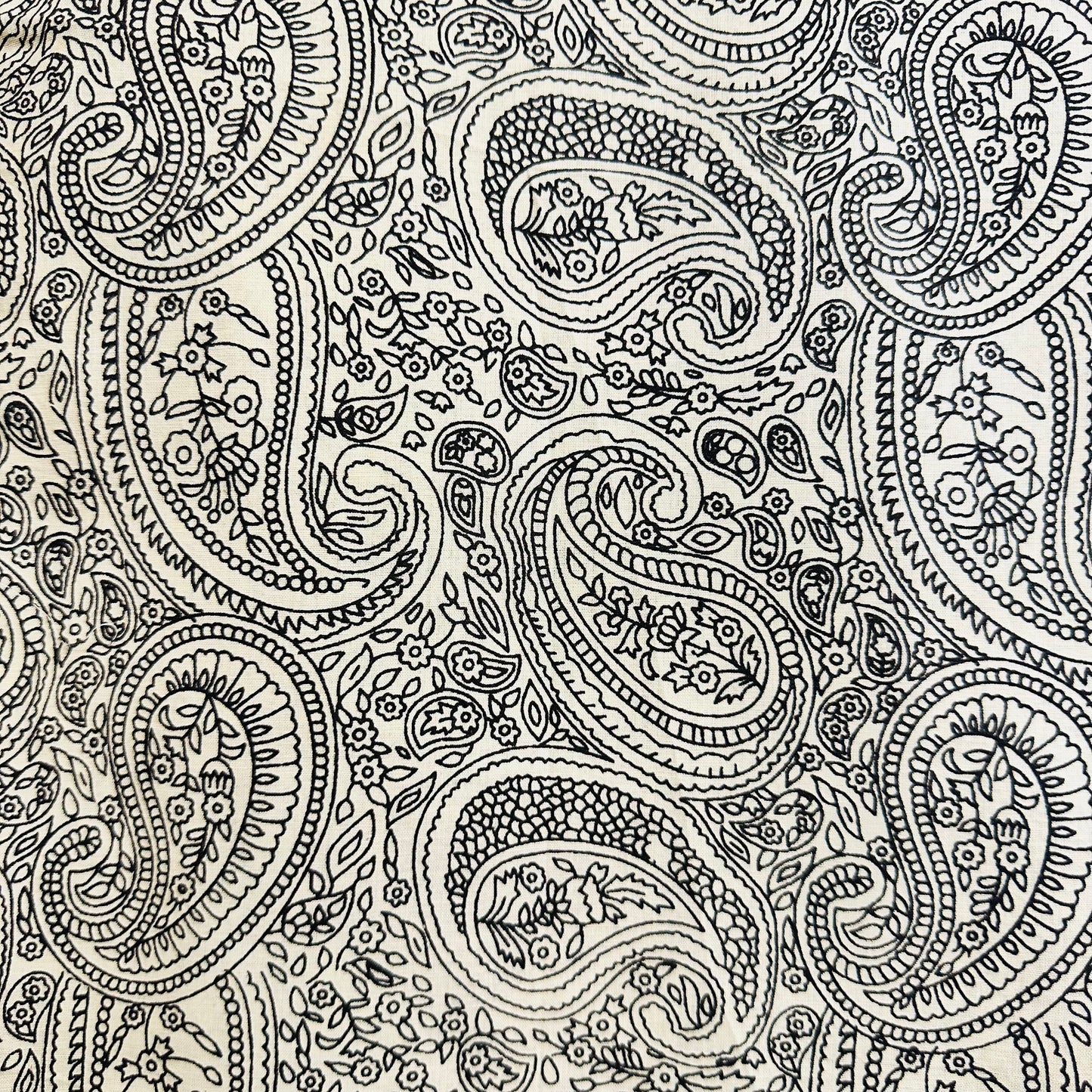 Paisley patterned Cotton scarf with tassels